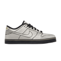 Nike Dunk Low 6.0 SE Delorean DMC-12