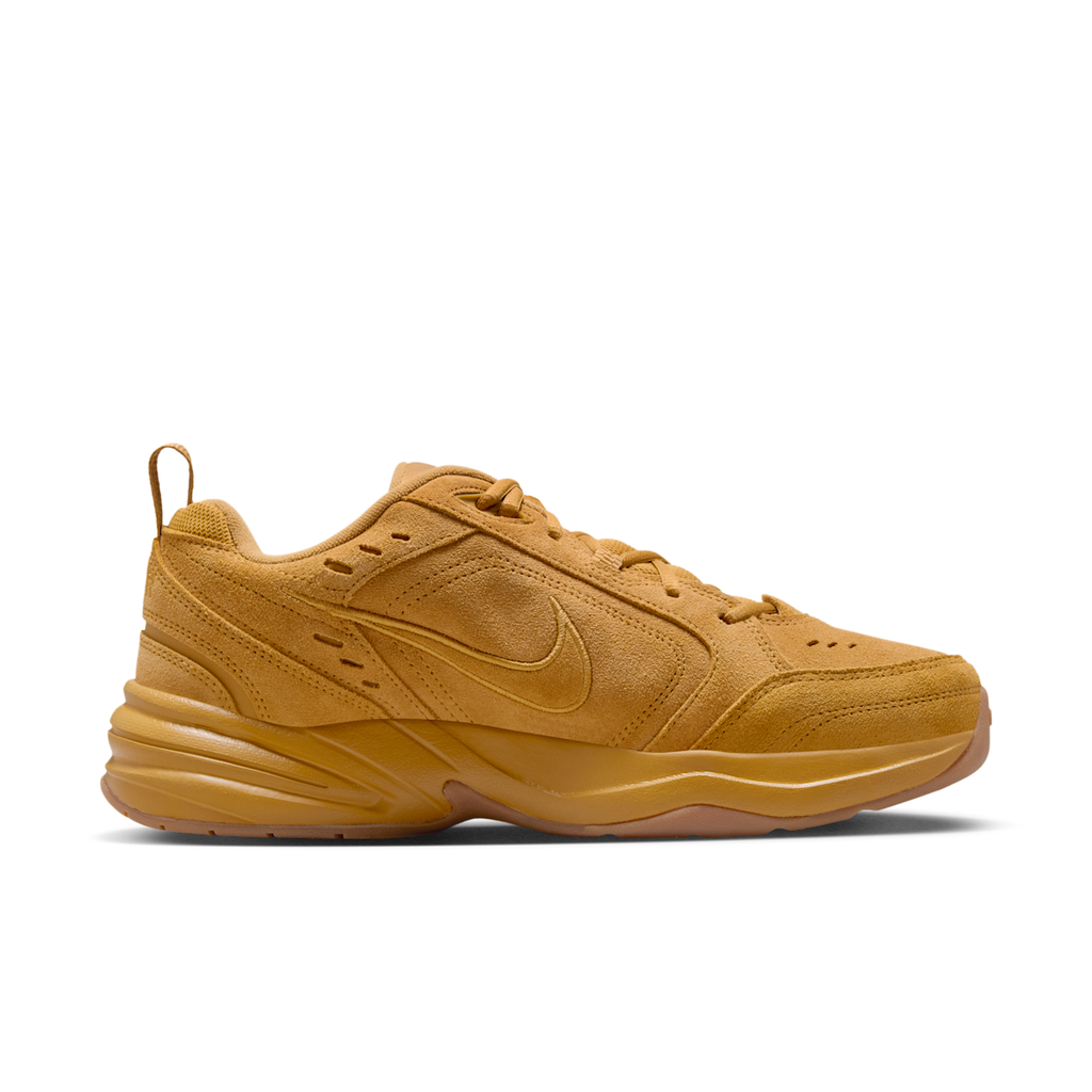 Men's Air Monarch SE Workout Shoes
