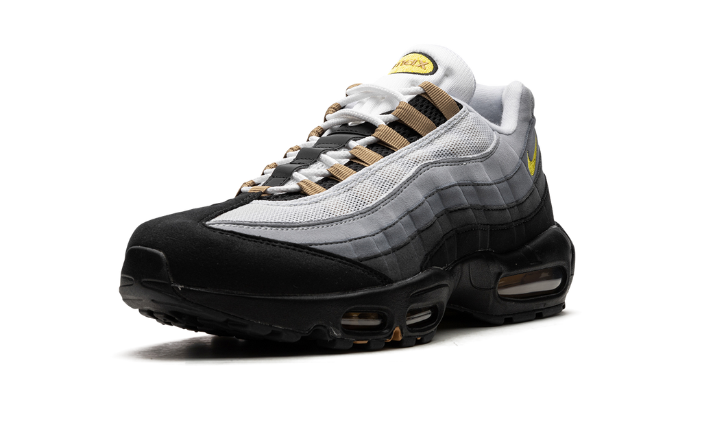 Air Max 95 "ICONS" DX4236 100