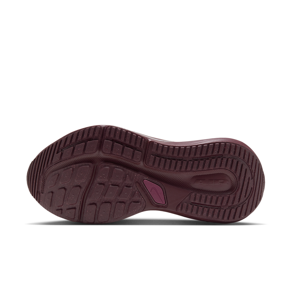 Women's Winflo 12 SE Road Running Shoes