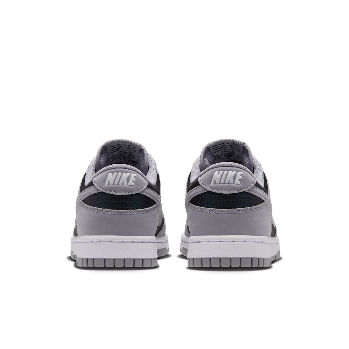Women's Dunk Low SE Iridescent Shoes