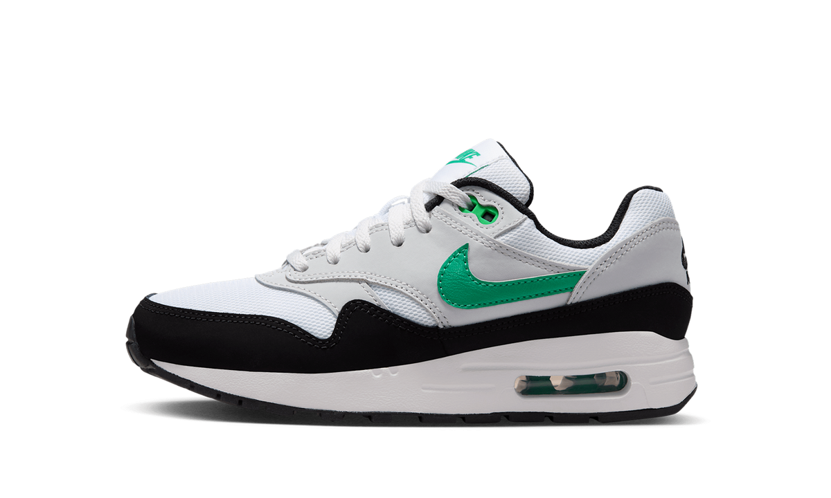 Air Max 1 GS "White Stadium Green" DZ3307 108
