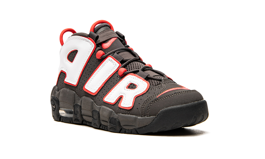 Air More Uptempo GS "Brown Bulls" DH9719 200